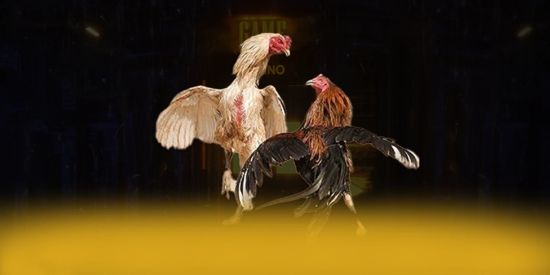 N88 - Đánh giá tổng thể từ trải nghiệm thực tế. N88 - Đánh giá tổng thể từ trải nghiệm thực tế.