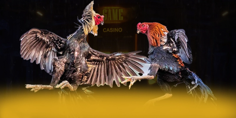 N88 - Trang game với hệ thống bảo mật hiện đại hiện nay – Đánh giá chi tiết về N88 N88 - Trang game với hệ thống bảo mật hiện đại hiện nay – Đánh giá chi tiết về N88