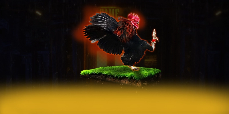 N88 – Cổng game được tin dùng, được cộng đồng đánh giá tích cực. N88 – Cổng game được tin dùng, được cộng đồng đánh giá tích cực.