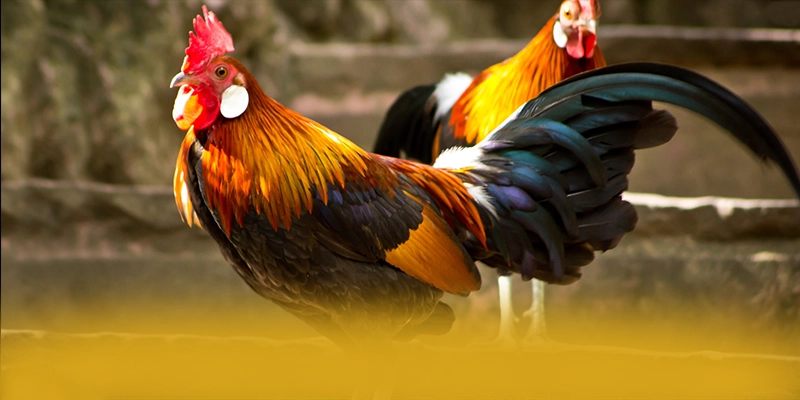 tài xỉu online - Thương hiệu game trực tuyến có danh mục game hấp dẫn trong cộng đồng game thủ – Trải nghiệm tài xỉu online tài xỉu online - Thương hiệu game trực tuyến có danh mục game hấp dẫn trong cộng đồng game thủ – Trải nghiệm tài xỉu online