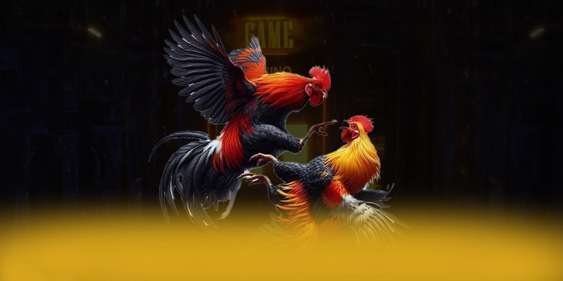 NK88 - Cổng game với hệ thống bảo mật hiện đại được cộng đồng game thủ công nhận – Đánh giá NK88