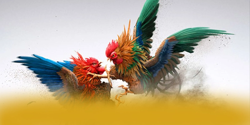 
Khám phá ngay B52 - Cổng trò chơi phổ biến nhất 2025
