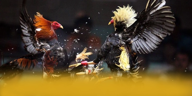 AU88 - Thương hiệu game uy tín đáng tin cậy được giới chuyên môn đánh giá cao – Đánh giá chi tiết về AU88